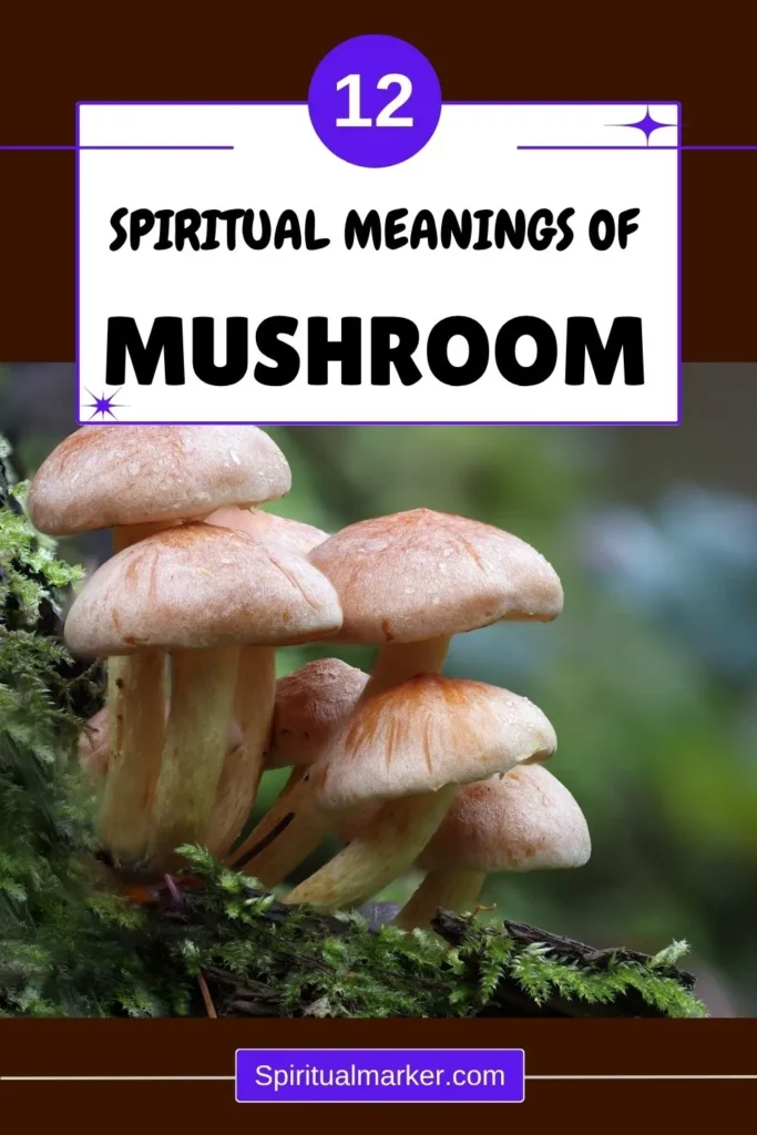 mushrooms-spiritual-symbolism