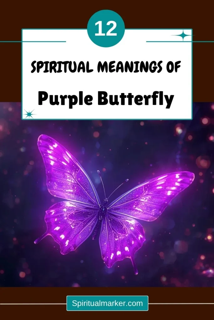purple-butterfly-spiritual-meaning-symbolism-significance