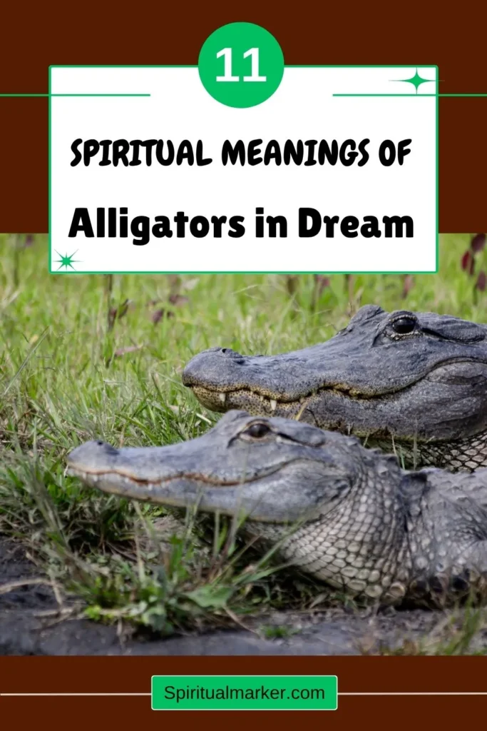 seeing-alligators-in-a-dream-symbolism