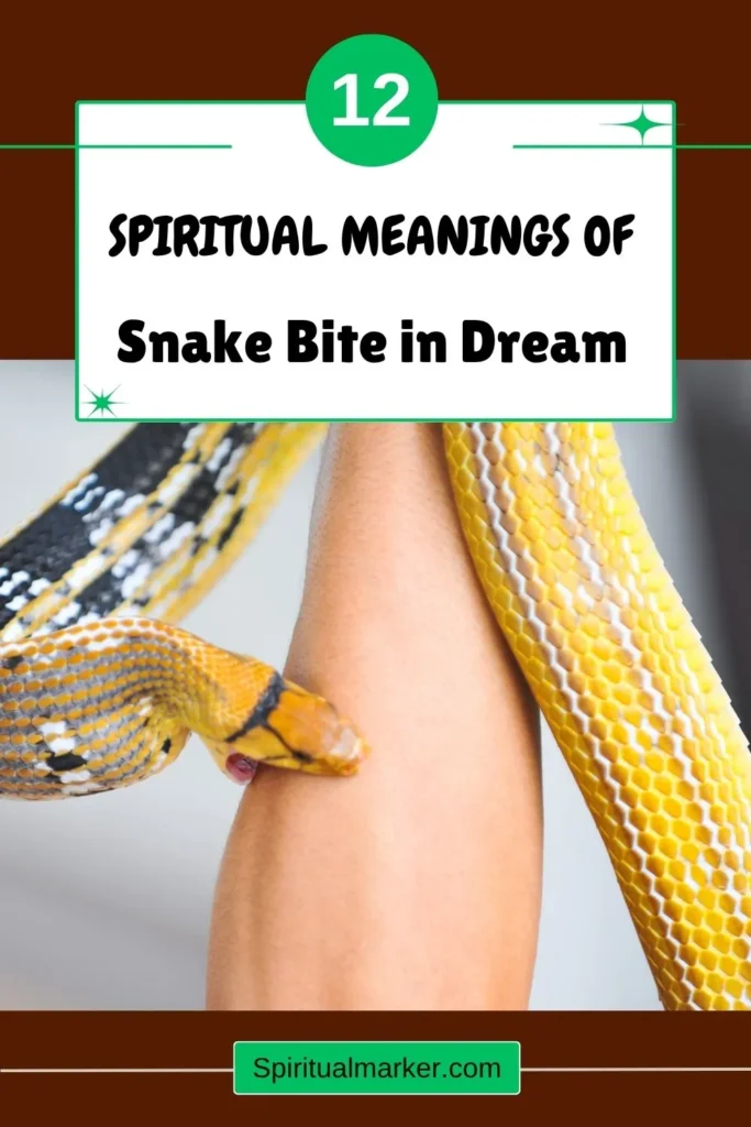 snake-bite-in-a-dream-meaning