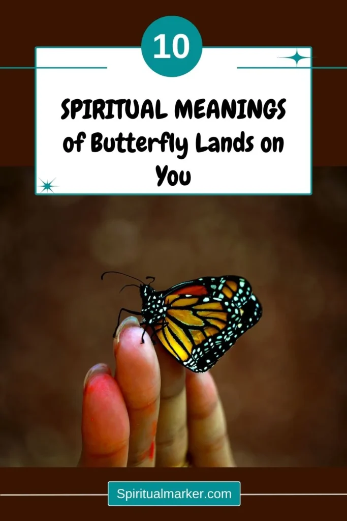 spiritual-meaning-of-a-butterfly-landing-on-you