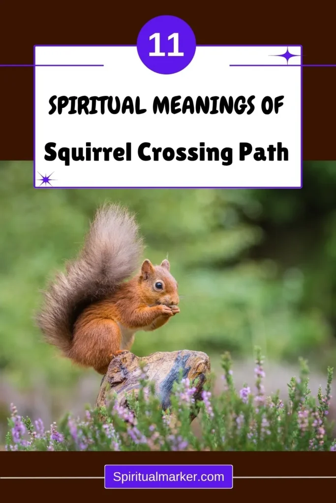 spiritual-meanings-of-a-squirrel-crossing-your-path