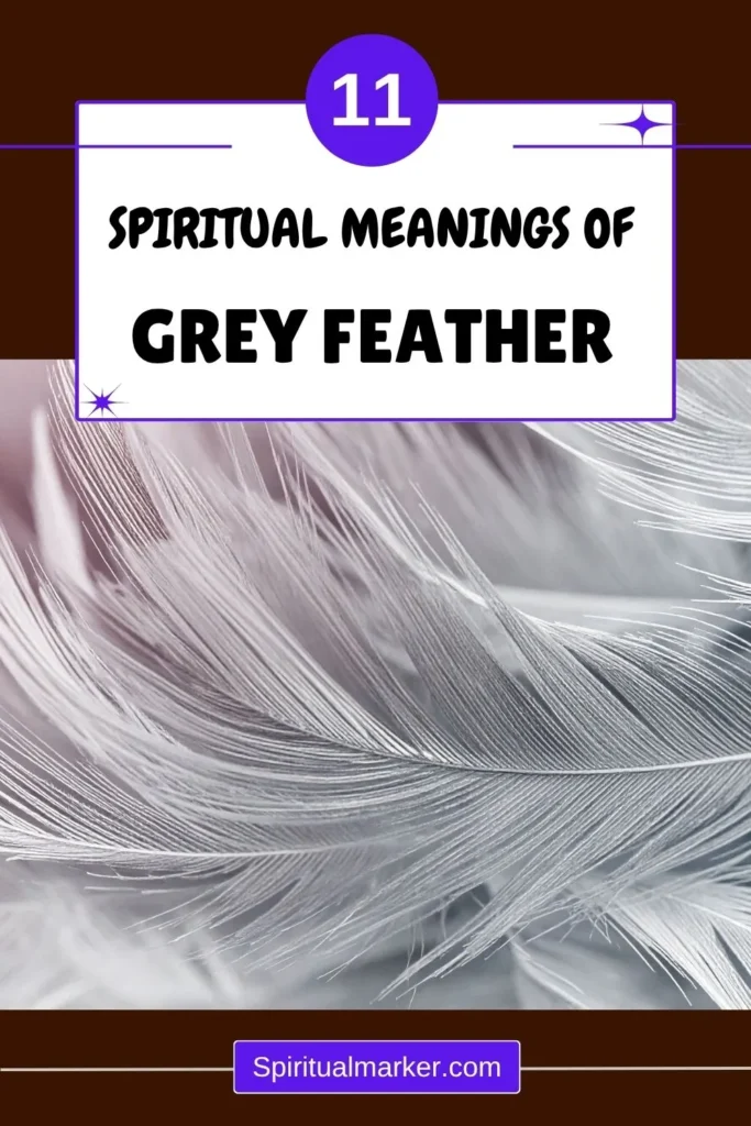 what-does-finding-a-grey-feather-symbolize-spiritually