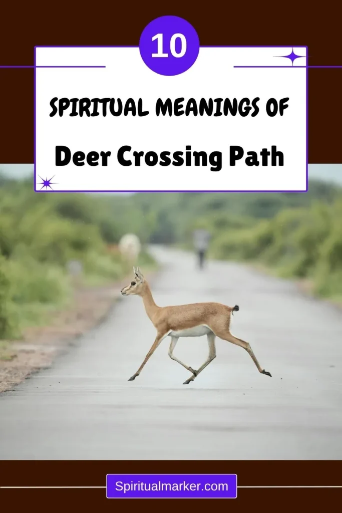 what-does-it-mean-when-a-deer-crosses-path