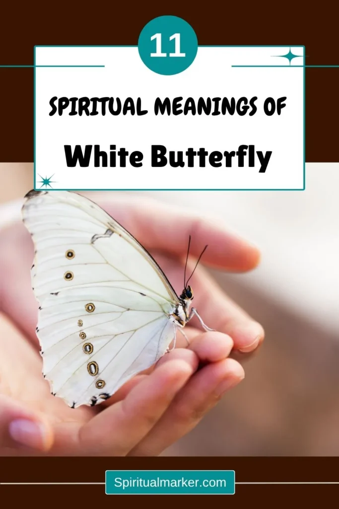 white-butterfly-spiritual-meaning-symbolism-significance
