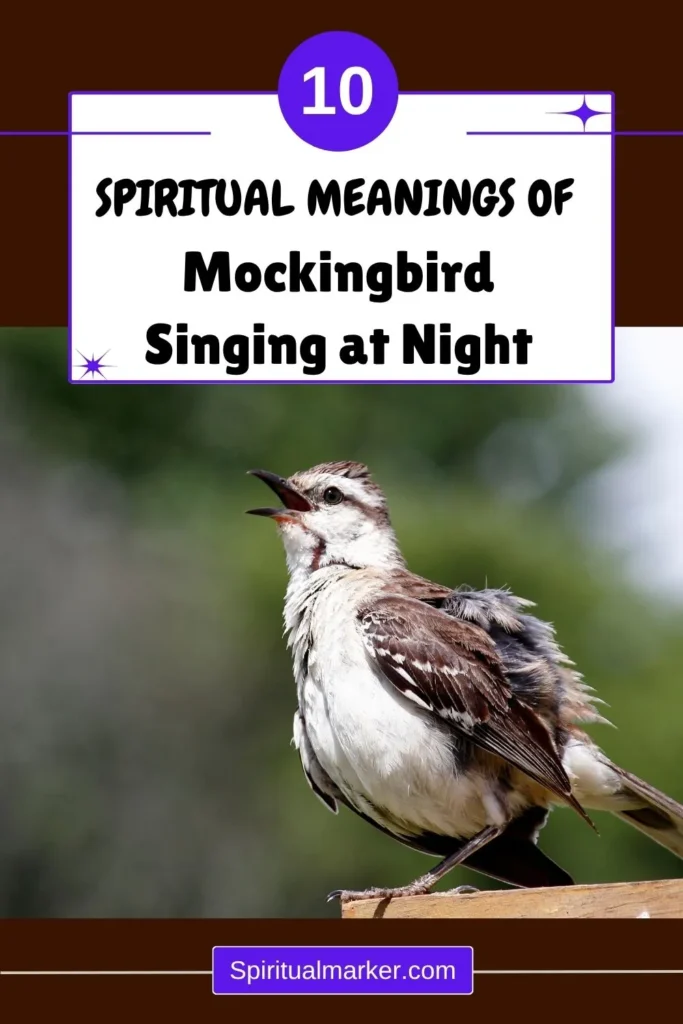 why-does-a-mockingbird-sing-at-night-spiritually