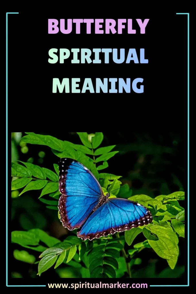spiritual meaning of seeing butterflies