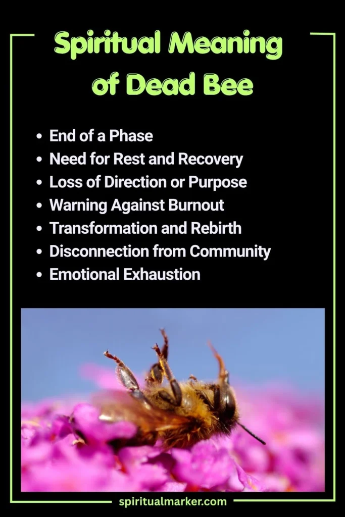 Spiritual Meaning of Dead Bee