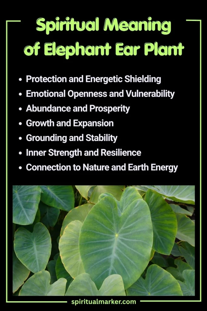 Spiritual Meaning of Elephant Ear Plant and Symbolism
