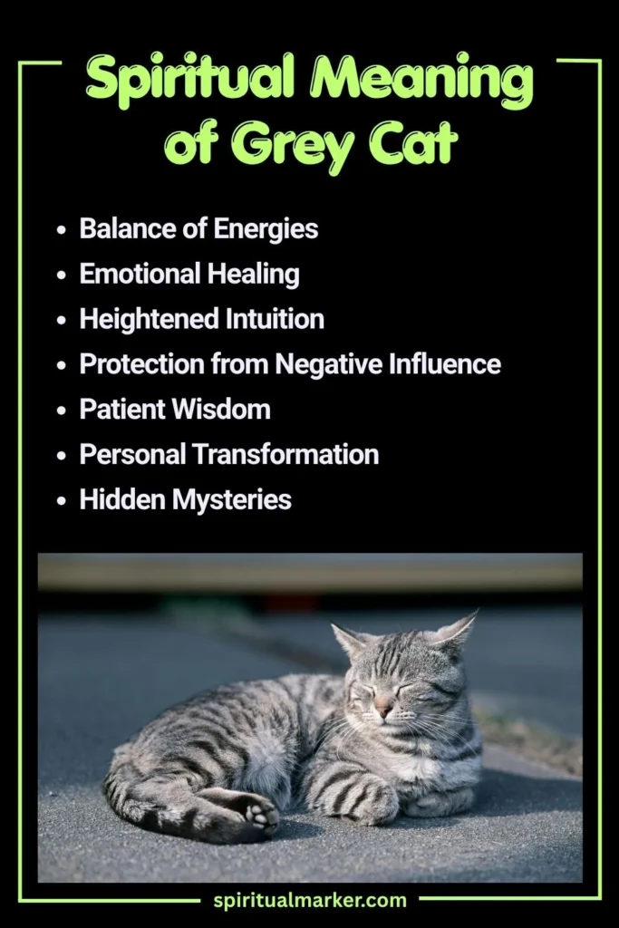Spiritual Meaning of Grey Cat and Symbolism
