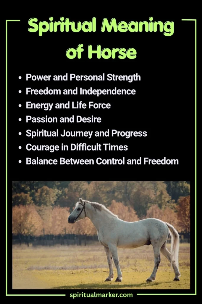 Spiritual Meaning of Horse and Symbolism