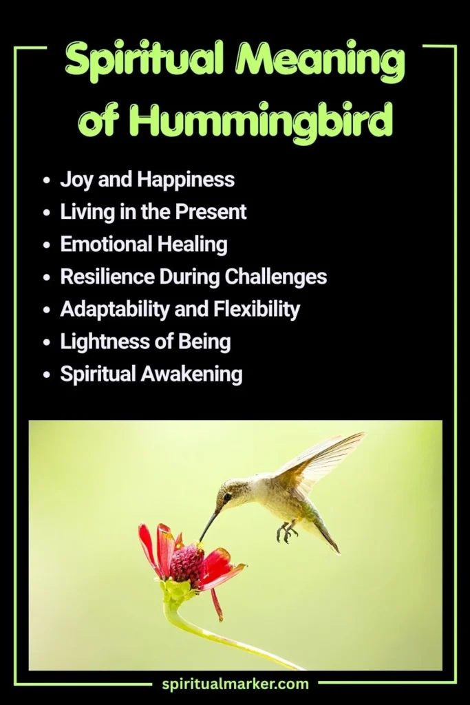 Spiritual Meaning of Hummingbird and Symbolism