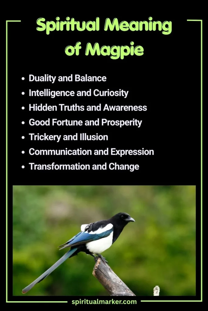 Spiritual Meaning of Magpie and Symbolism