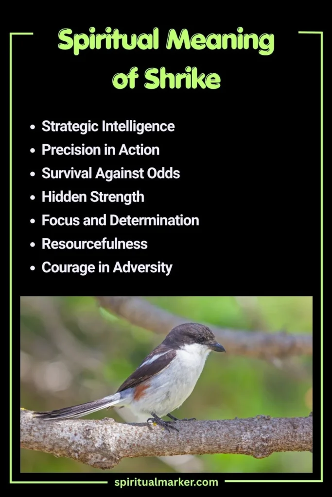Spiritual Meaning of Shrike and Symbolism