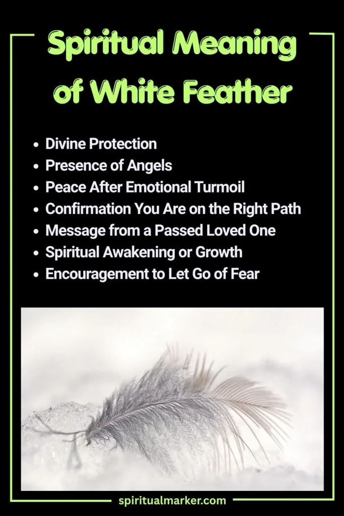 Spiritual Meaning of White Feather