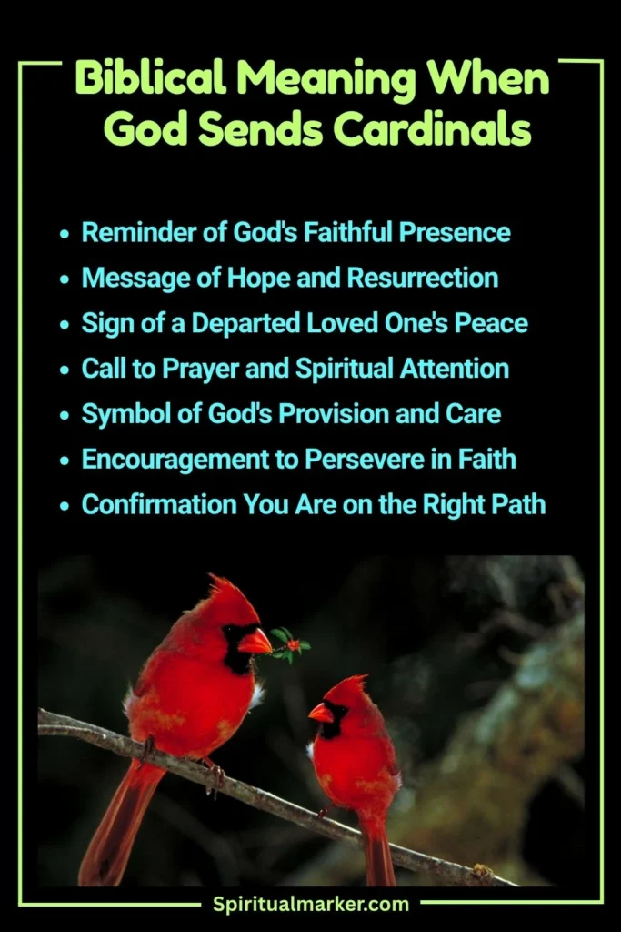Biblical Meaning When God Sends Cardinals