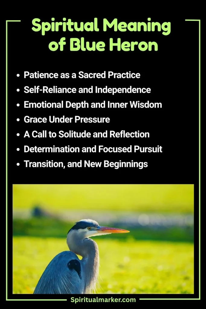 Blue Heron Spiritual Meaning and Symbolism