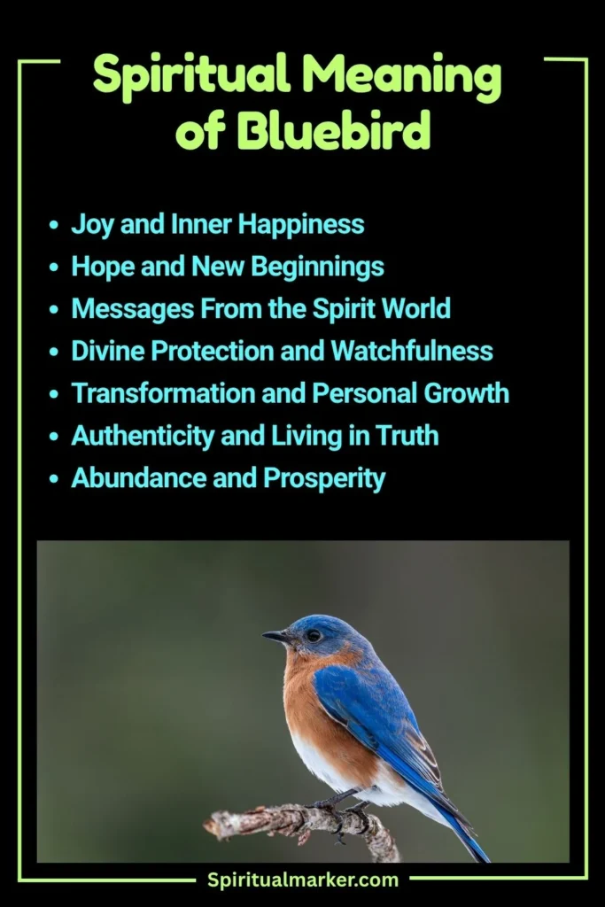 Bluebird Spiritual Meaning and Symbolism