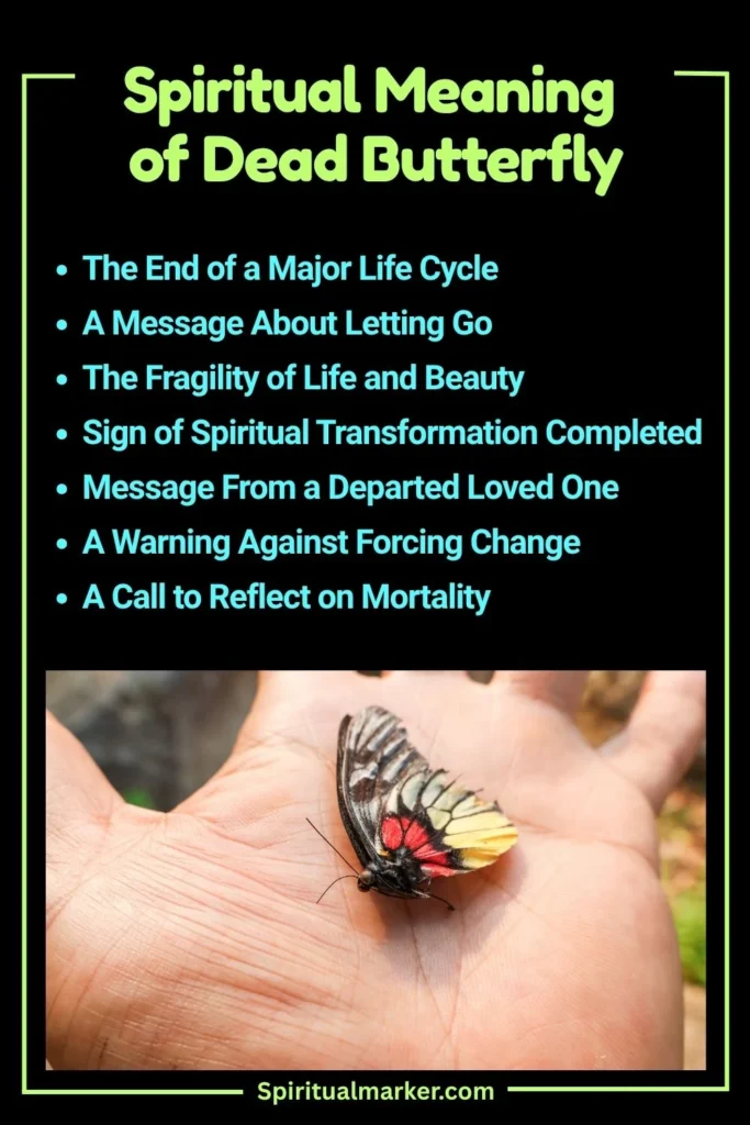 Dead Butterfly Spiritual Meaning and Symbolism