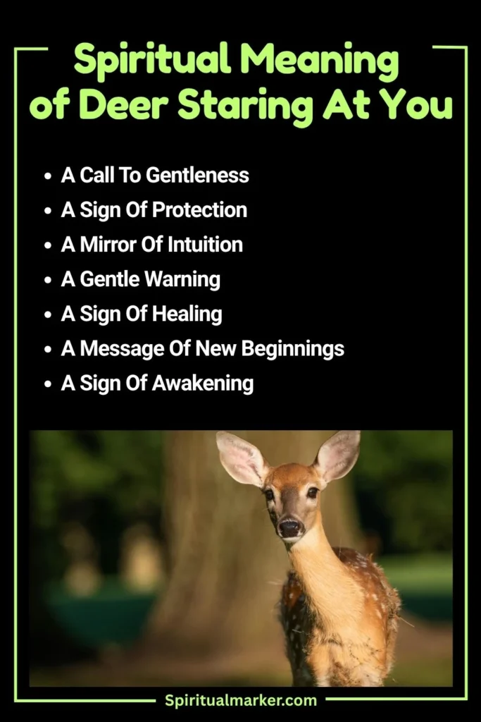 Deer Stares At You Spiritual Meaning and Symbolism
