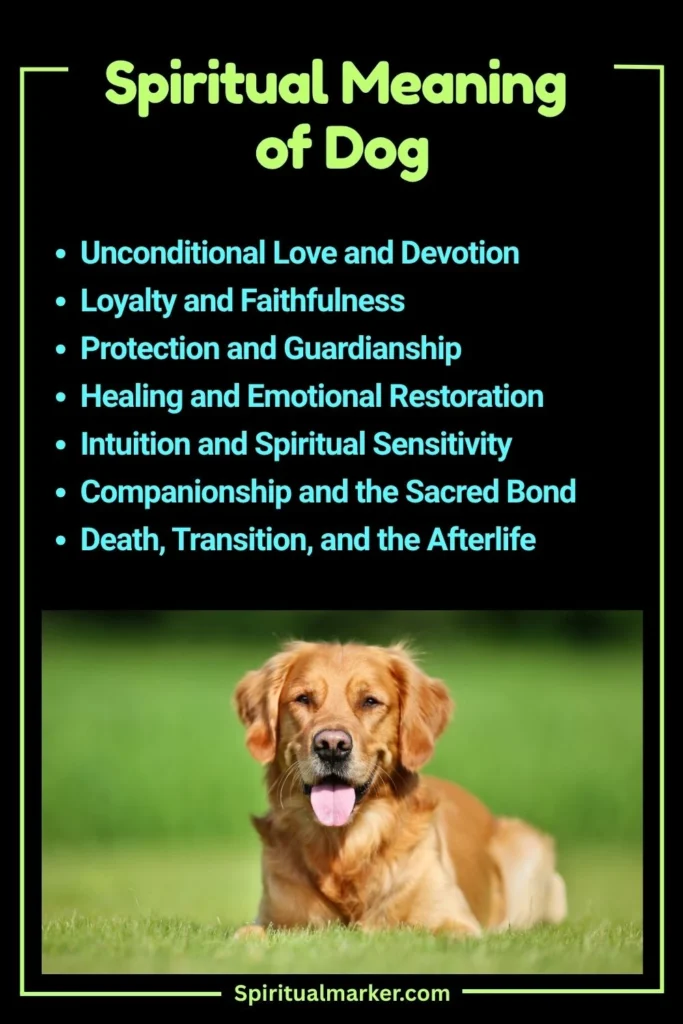 Dog Spiritual Meaning and Symbolism