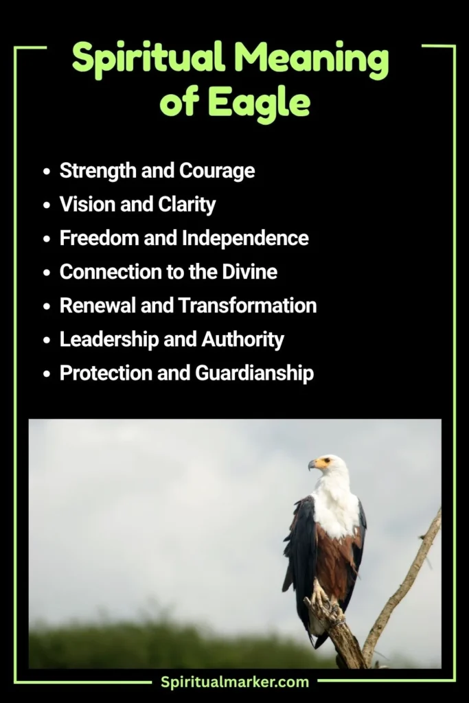 Eagle Spiritual Meaning and Symbolism