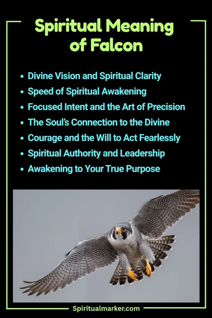 Falcon Spiritual Meaning and Symbolism