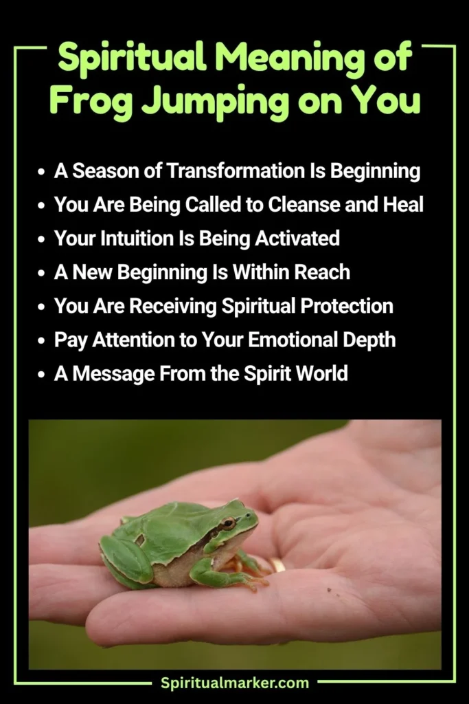 Frog Jumps on You Spiritual Meaning and Symbolism