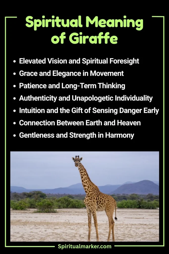 Giraffe Spiritual Meaning and Symbolism