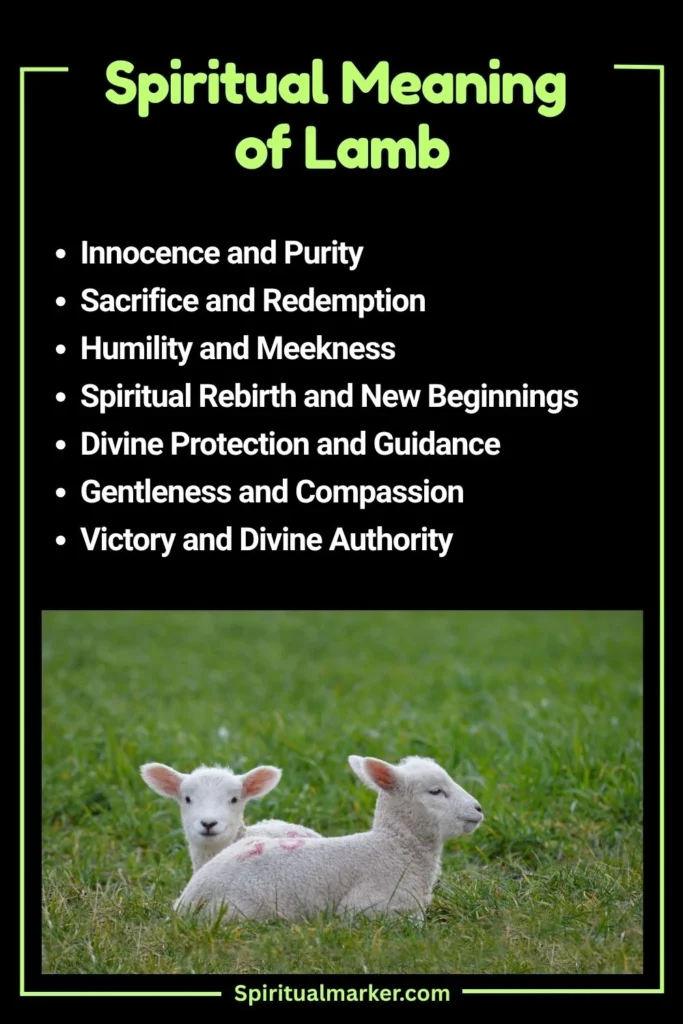 Lamb Spiritual Meaning and Symbolism
