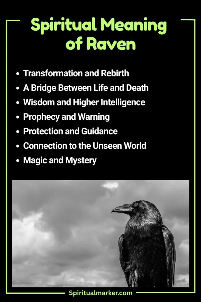 Raven Spiritual Meaning and Symbolism