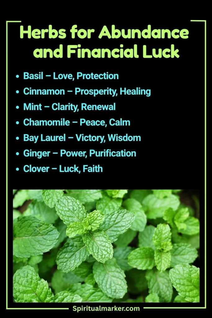 Spiritual meaning of Herbs for Abundance and Financial Luck