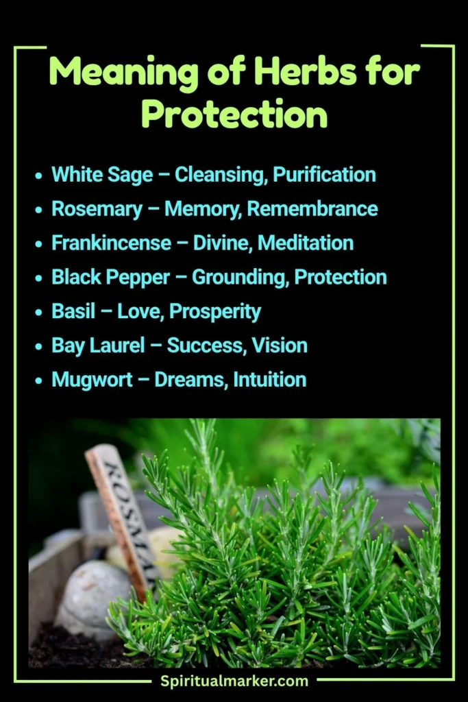 Spiritual meaning of Herbs for Protection