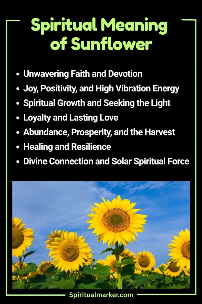 Sunflower Spiritual Meaning and Symbolism