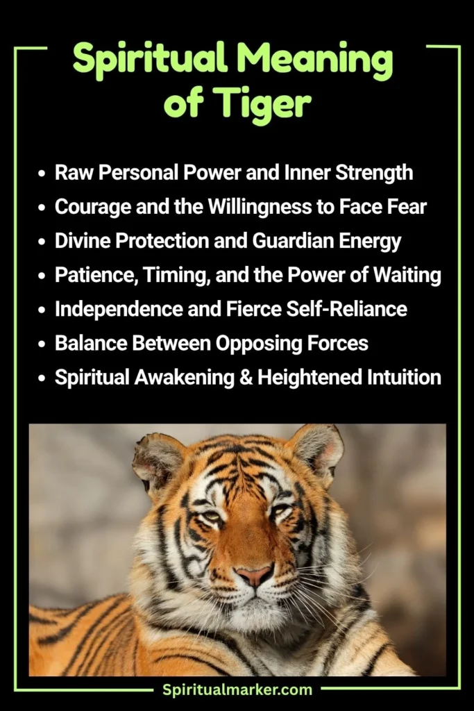 Tiger Spiritual Meaning and Symbolism