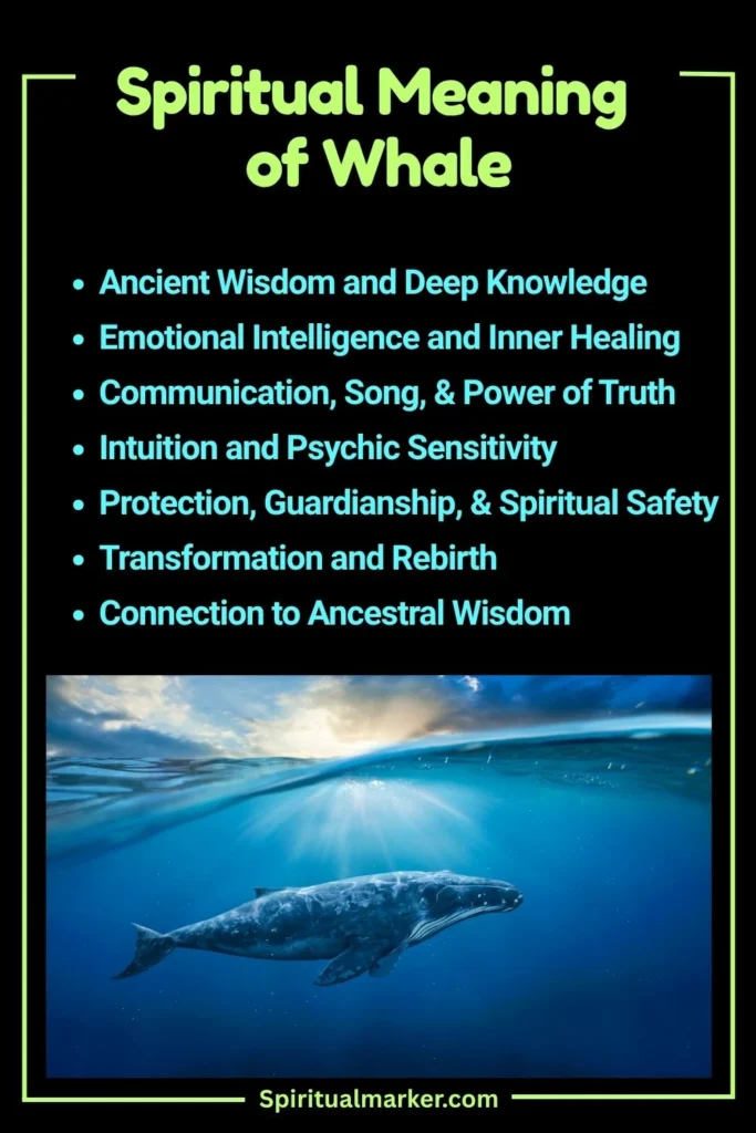 Whale Spiritual Meaning and Symbolism