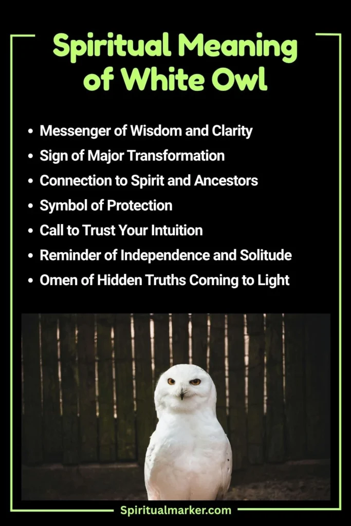 White Owl Spiritual Meaning and Symbolism