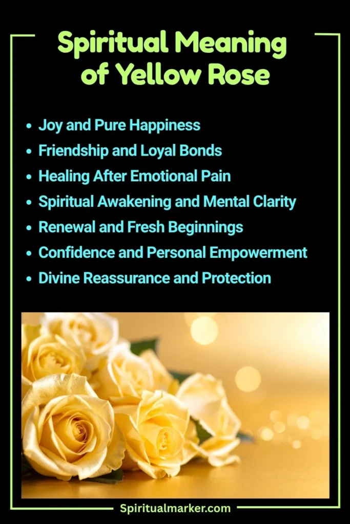 Yellow Rose Spiritual Meaning and Symbolism