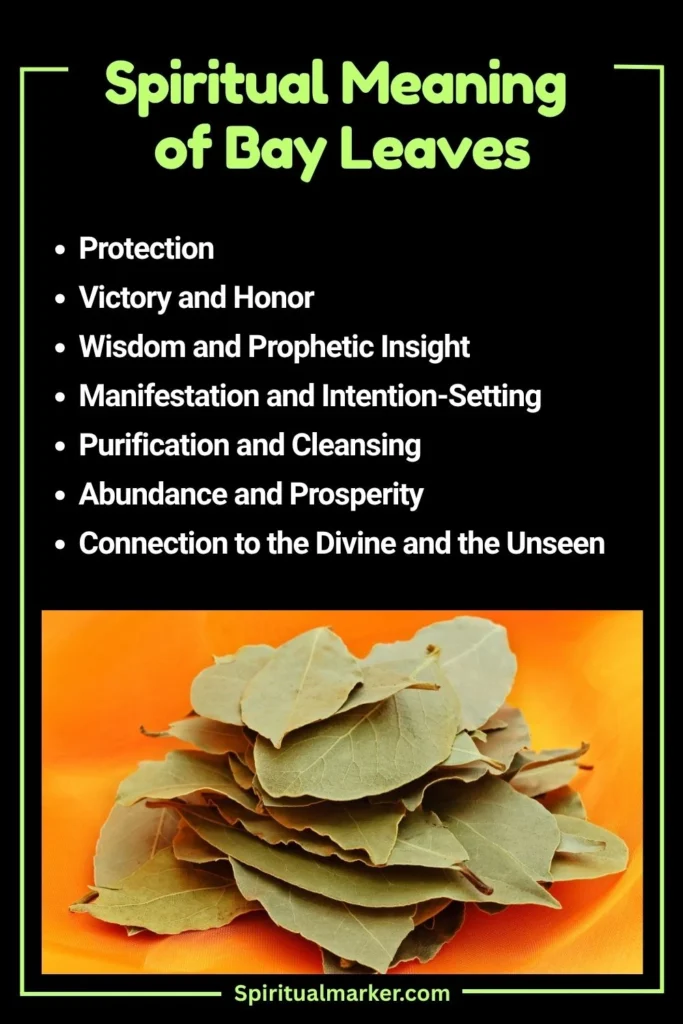 bay leaves Spiritual Meaning and Symbolism